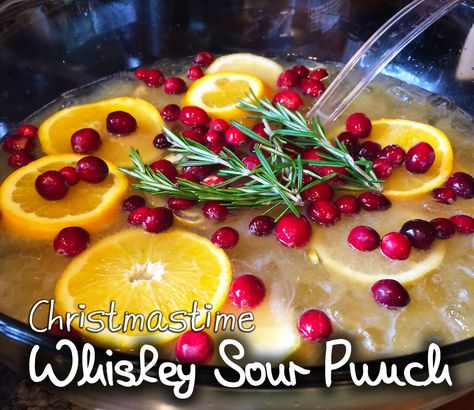 As far back as I can remember, my dad's family has had a tradition of making Whiskey Sour Punch at our annual Christmas gathering ... Whiskey Sour Pitcher Recipe, Whiskey Sour Christmas, Christmas Whiskey Sour, Whiskey Christmas Drinks, Punch Cocktail Recipes, Whiskey Sour Punch, Whiskey Punch, Holiday Cocktails Christmas, Whiskey Party