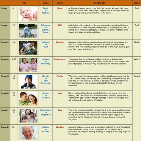 Erik Erikson's Stages Of Psychosocial Development, Erik Erikson Stages Human Development, Erik Erikson Quotes, Psychosocial Theory, Erickson Stages Of Development, Eric Erickson, Eriksons Stages Of Development, Stages Of Psychosocial Development, Psychosocial Development