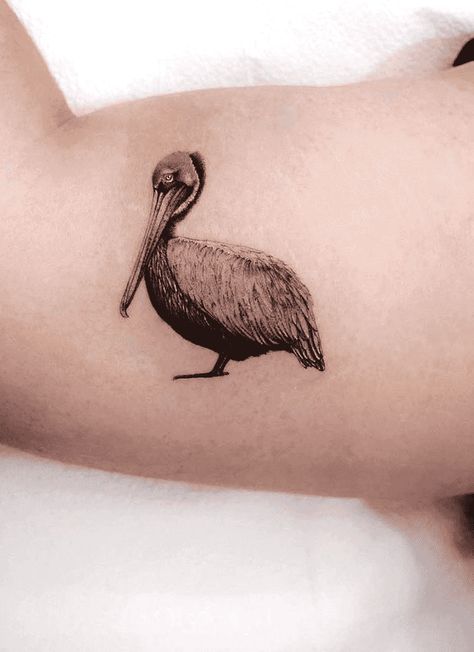 Pelican Tattoo Design Images (Pelican Ink Design Ideas) Florida Wildlife Tattoo, Pelican Tattoo For Women, Pelican Tattoo, Meaningful Tattoo Ideas, Tattoo Trash, Themed Tattoos, Tattoo Catalog, Jellyfish Tattoo, Family Tattoo