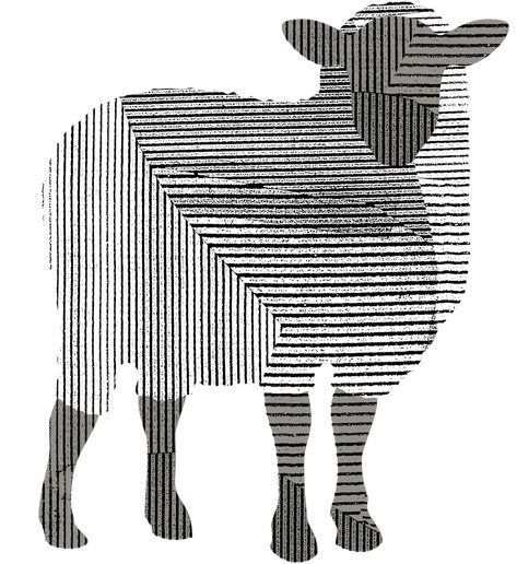 Black Sheep Drawing, Black Sheep Tattoo Ideas, Black Sheep Illustration, Black Sheep Logo, Black Sheep Art, Black Sheep Tattoo, Dan Hillier, Sheep Logo, Sheep Tattoo