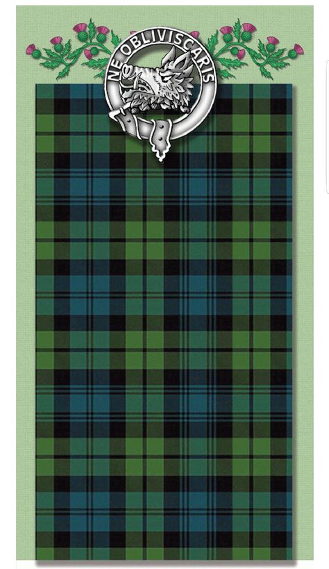 Campbell Plaid, Clan Campbell, Campbell Tartan, Campbell Clan, Scottish Clothing, Tartan Clothing, Ireland History, Scotland History, Scottish Ancestry