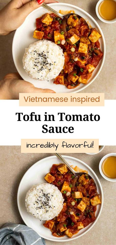 This Vietnamese tofu in tomato sauce is bold, vibrant, and packed with flavors! An easy recipe that calls for simple ingredients and is ready in 40 minutes. Serve it over rice or noodles to make it a meal. Tofu Tomato Sauce, Tofu And Tomato Recipe, Vietnamese Tomato Tofu, Thai Red Curry Tofu Recipe, Tofu Tomato Pasta, Red Thai Curry Tofu, Vegan Rice Paper Rolls, Ways To Cook Tofu, Tofu Recipes Easy