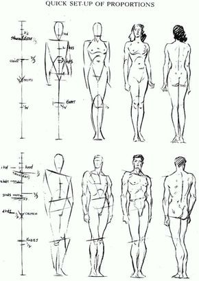 Drawing the human figure doesn't just come down to talent, it also comes down to knowing some match and proportional knowledge. This tutorial is full of guidelines that you should save or memorize and use in all of your future artwork that contains people. Drawing Body Proportions, Drawing Proportions, Male Figure Drawing, Human Body Drawing, Human Figure Sketches, Anatomy Tutorial, Human Anatomy Drawing, Human Figure Drawing, Human Anatomy Art