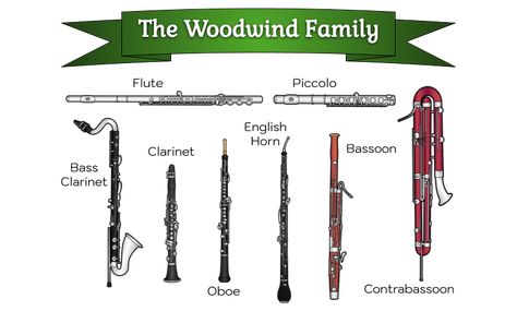 Learning About Musical Instruments Families | Woo! Jr. Kids Activities Instrument Families, Cooking In The Classroom, English Horn, Instruments Art, Woodwind Instrument, Woodwind Instruments, Bass Clarinet, Classical Period, Bassoon