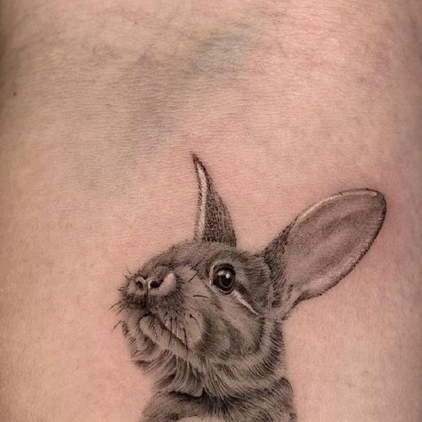 Rose’a’Line Tattoo • WIEN on Instagram: "I really love doing all kind of animal portraits 🖤 always welcome 🙏🏼 • • Sabrina @rose_a_line.tattoo • • • #rabbit #rabbitsofinstagram #rabbittattoo #rabbitportrait #animalportrait #smallportrait #portraittattoo #realistictattoo #wientattoo #viennaink #viennatattoo #viennafineline #finelinevienna" Tattoo Rabbit, Rabbit Tattoos, Animal Portraits, Line Tattoo, Rose A, Line Tattoos, Tattoo On, Pet Portraits, Portrait Tattoo