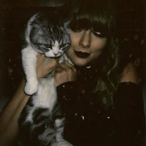 Taylor Swift Cat, Miss Americana, Swift Tour, Red Tour, Forever Girl, Stadium Tour, Being Good, Taylor Swift Pictures, Taylor Alison Swift