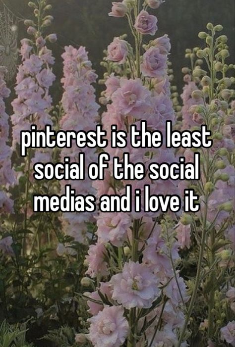 Dear Pretty, I Love Pinterest, Whisper Girl, Whispering Angel, Not Talking, Relatable Whispers, Careless Whisper, Dear Reader, Whisper Confessions