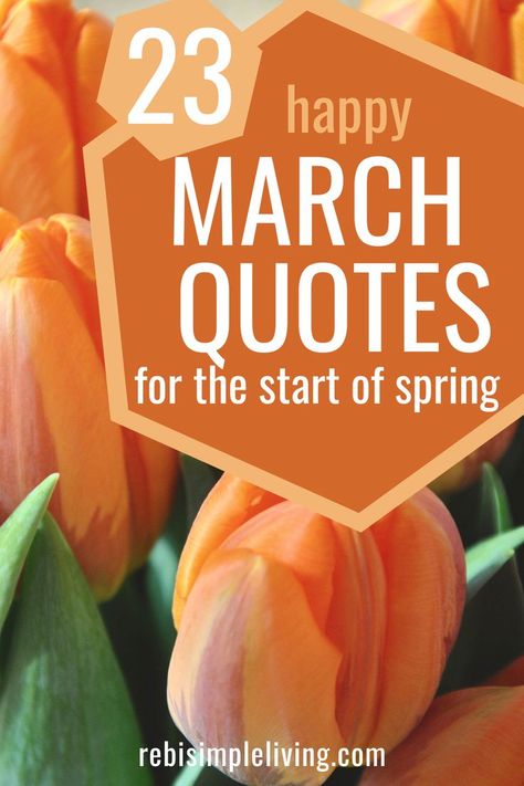 23 happy march quotes for the start of spring March 9 Quotes, Quotes About March Month, Quotes For March Month, Month Of March Quotes Inspiration, March Blessings Quotes, March Funny Quotes, March Quotes Month Of, March Motivational Quotes, March Quotes Inspirational