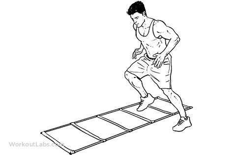 Agility Ladder Drills Agility Ladder Drills, Ladder Drills, Boxing Classes, Body Exercises, Hip Flexors, Mobility Exercises, Hip Flexor, Workout Guide, Training Plan