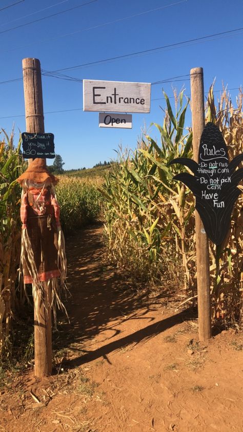 Corn Maze Entrance, Corn Maze Pictures, Haunted Corn Maze, Fall Feast, Apple Hill, Fall Board, Ranch Ideas, Fall Boards, Fall Dates