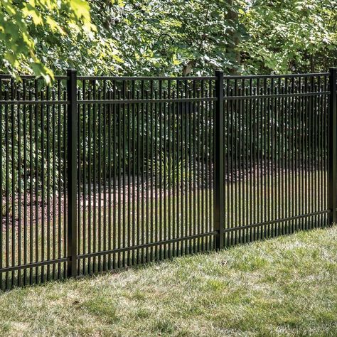 Freedom (Actual: 4.91-Ft X 6.02-Ft) Standard York Black Aluminum Flat-Top Decorative Metal Fence Panel 73008848 Fence Black Metal, Metal Fencing Panels, Metal Garden Fence Ideas, Decrotive Fence Ideas, Black Metal Fencing Ideas, Fence Metal Design, Black Metal Fencing, Black Metal Fence Ideas, Black Steel Fence