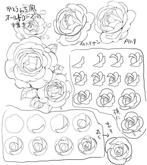 Object References, Hur Man Ritar Blommor, Candle Carousel, Art Steps, Ako Kresliť, Art 101, Flower Drawing Tutorials, Flowers Drawing, Rose Drawing