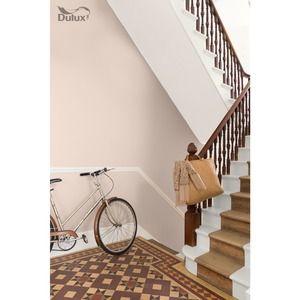 Dulux Matt Emulsion Paint Soft Stone 2.5L Soft Stone Dulux Paint, Hall Colours, Paint Hallway, Dulux Polished Pebble, Elderflower Tea, Hallway Paint, Hall Colour, House Improvement, Paint Pallet