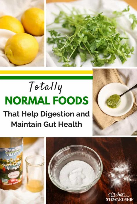 Totally Normal Foods That Help Digestion, Maintain Gut Health and Reduce Food Cravings - from a real family just trying to do their best to be healthy #naturalremedies #naturalhealth Medical Remedies, My Stomach Hurts, Tummy Ache, Eat Something, Help Digestion, Diy Remedies, Did You Eat, Health Inspiration, Food Help