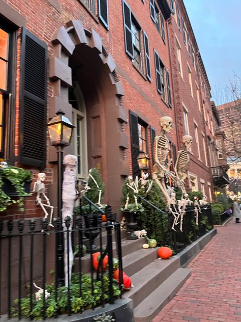 Halloween In Boston, Boston Halloween Aesthetic, Boston Halloween, Boston Fall, Halloween Bar, Soul Eater, In Boston, Spooky Season, Boston Terrier