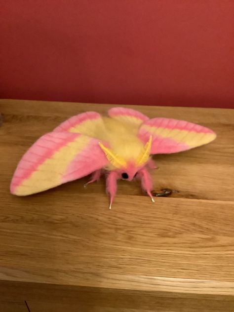 Needle felted Rosy Maple Moth hand made fibre sculpture by stella Collins, unique and custom made find me on Instagram @for_felt_sake or on etsy shop Artisan fibre. Needle Felted Moth Tutorial, Needle Felted Moth, Felted Moth, Kawaii Moth, Felt Moth, Bug Display, Fibre Sculpture, Flannel Moth, Moth Embroidery