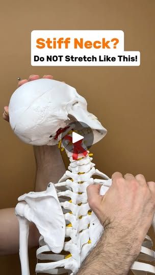 1.2M views · 61K reactions | Comment the word ‘NECK’ on this video if you need more help fixing Neck pain.

Do you experience, stiffness, pain, or tension on one side of the neck, especially when turning your head?

Well, if you have watched any of my videos, you know that it all comes down to the root cause. Very commonly there is a joint restriction or muscle dysfunction, but there are also many cases where there are generalized fascial restrictions which are overlooked.

In this video, I depict someone who has been stretching the muscles for a long period of time without the result they’re looking for and they are instructed to focus on the fascia in the region that is producing tension.

This release I love to do to patients, but it can also easily be done on yourself. The key is a tig Neck Nerve Pain Relief, Knots In Neck Muscle, Stretches For Neck Pain, Alone On Thanksgiving, Neck Exercises, Stiff Neck, Tighter Skin, Neck And Shoulder Pain, Daily Exercise