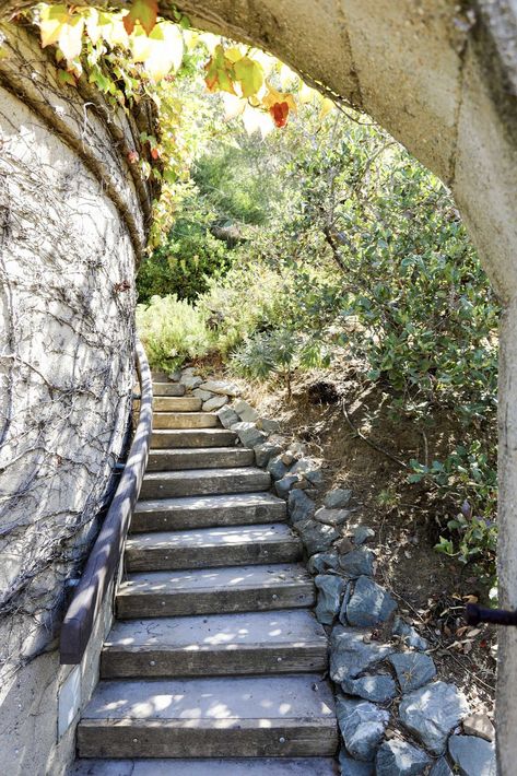 An Alluring Berkeley Hills Home by a Case Study Architect Asks $2.9M - Dwell Berkeley Hills, Concrete Stairs, Forest Trail, The Terrace, Modern Homes, Driveway, Case Study, Terrace, Modern House