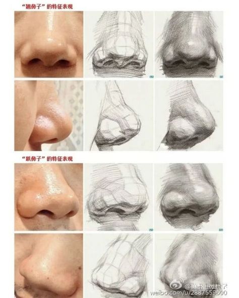 Desen Realist, 얼굴 드로잉, Drawing Heads, Nose Drawing, Human Anatomy Drawing, 얼굴 그리기, Academic Art, Anatomy Sketches, Drawing Studies