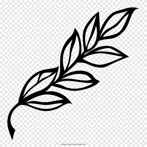 Laurel Drawing, Drawing Leaf, Dandelion Drawing, Bay Laurel, Japan Flower, Olive Wreath, Black Rose Flower, Wreath Illustration, Black Wreath