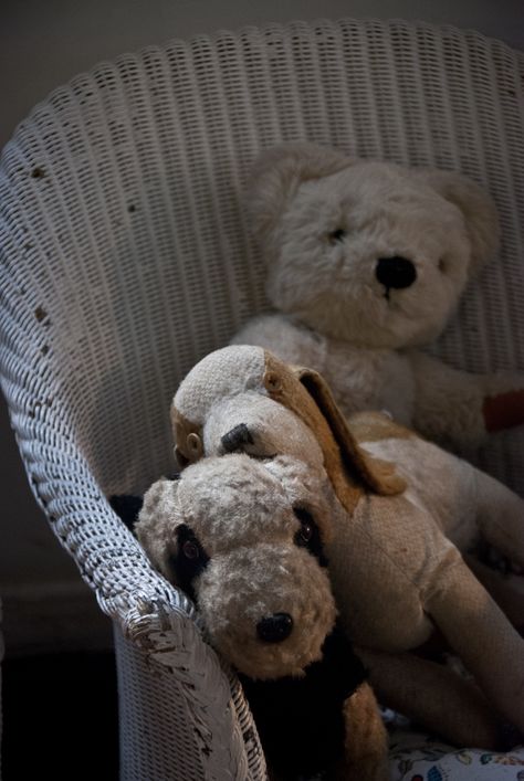 old dears Old Toys Aesthetic, Stuffed Animal Aesthetic, Old Stuffed Animals, Toys Aesthetic, Comfort Aesthetic, Animal Aesthetic, Taylor Songs, Shaun The Sheep, Teddy Toys