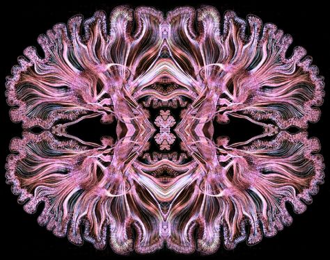 Greg Dunn Neuro Art, Neurotechnology Aesthetic, Neuroscience Wallpaper, Brain Aesthetic, Neuroscience Art, Purple Art Abstract, Brain Tattoo, Horror Photos, Brain Logo