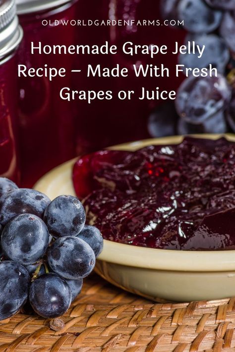 Grape Jelly From Wild Grapes, Grape Jelly With Grape Juice, Concord Grape Jelly Recipe No Pectin, Fresh Grape Jelly Recipe, Grape Jelly Recipe From Juice, Grape Jam From Fresh Grapes, Grape Jelly With Liquid Pectin, Homemade Grape Jelly From Grapes, Making Grape Jelly With Fresh Grapes