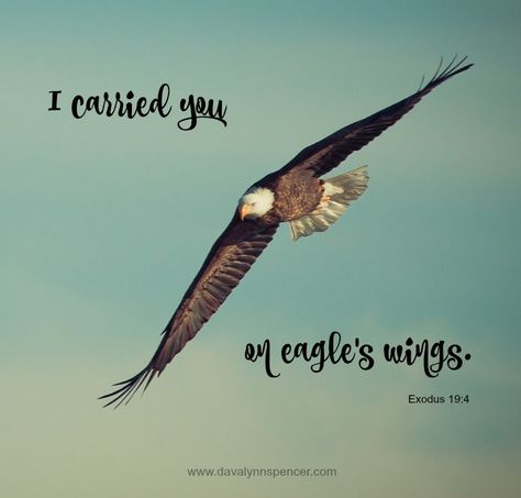 I Carried You on Eagle's Wings - Davalynn Spencer On Eagles Wings, Cricut Animals, Eagles Wings, Western Romance, Wings Like Eagles, Isaiah 40 31, Eagle Wings, Bible Promises, Flying Bird