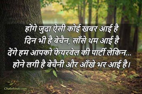 Farewell Quotes For Students, Farewell Thoughts, Farewell Quotes In Hindi, Farewell Shayari, Farewell Quotes For Seniors, Best Farewell Quotes, Farewell Quotes, Senior Student, English Transition Words