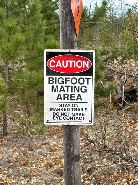 Living In Washington State, You Have Been Warned, Geek Life, Close Encounters, June 1, Eye Contact, In The Flesh, After Dark, Make Me Smile