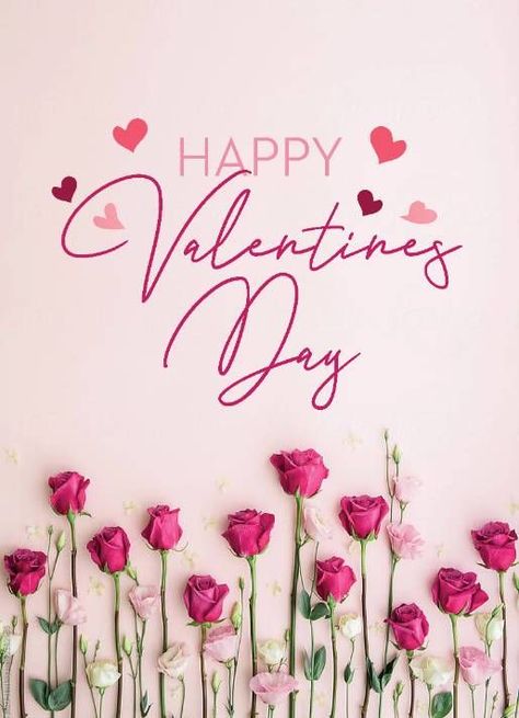 Happy Valentines Day Flowers, Valentines Wishes, Happy Valentines Day Pictures, Valentines Quotes Funny, Happy Valentines Day Wishes, Images For Valentines Day, Valentines Day Memes, Ig Aesthetic, Valentine Messages