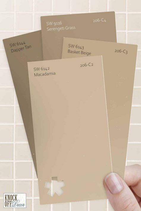 Sherwin Williams Macadamia, Tan Paint Colors, Exterior Paint Color Combinations, Cream Paint Colors, Beige Paint Colors, Tan Paint, Paint Wash, Trending Paint Colors, Paint Color Inspiration