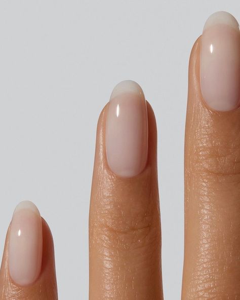 This colour is a sheer, natural ivory designed to enhance the beauty of your natural nails. Shade is COCONUT MILK. | Instagram Sheer Cream Nails, Sheer Natural Nail Polish, Sheer White Nail Polish, Sheer Neutral Nail Polish, Sheer Milky White Nail Polish, Sheer Nails, Mani Pedi, Coconut Milk, White Nails