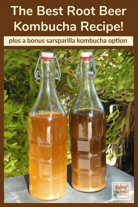 Root Beer Homemade, Root Beer Kombucha, Homemade Rootbeer, Kombucha Recipes, Kombucha Flavors, Fermented Drinks, Homemade Kombucha, Kombucha Recipe, Drink Syrups