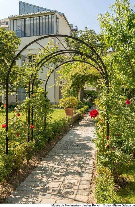 Garden Arches Ideas Backyards, Vine Tunnel, Rose Arches Garden, Garden Arches Ideas, Arches Garden, Arch Pics, Arches Design, Small Tropical Gardens, Garden Archway