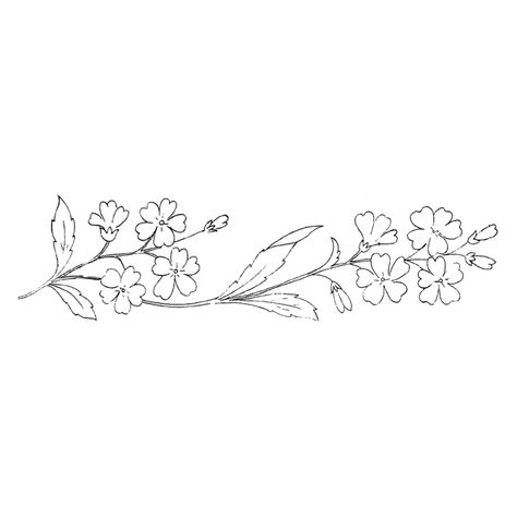 155 Verbena (free download) – Enliven Designs Verbena Drawing, Verbena Flower Tattoo, Verbena Flower, Letter Flowers, Flower Tattoo Drawings, Flower Tattoo Back, Wildflower Tattoo, Sunflower Drawing, Flower Line Drawings