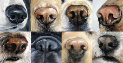 Dogs Nose, Dogs Eyes, Dog Noses, Dog Drawing Tutorial, Grumpy Dog, Portraits Painting, Animal Noses, Dog Portraits Painting, Dog Portraits Art