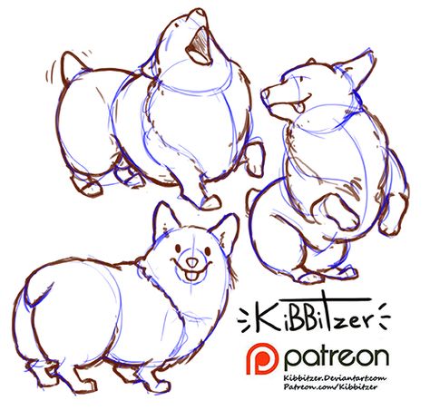 Corgi reference sheet by Kibbitzer.deviantart.com on @DeviantArt Corgi Reference, Corgi Drawing, Corgi Art, 강아지 그림, Reference Sheet, 3d Drawings, Poses References, My Gallery, My Stuff