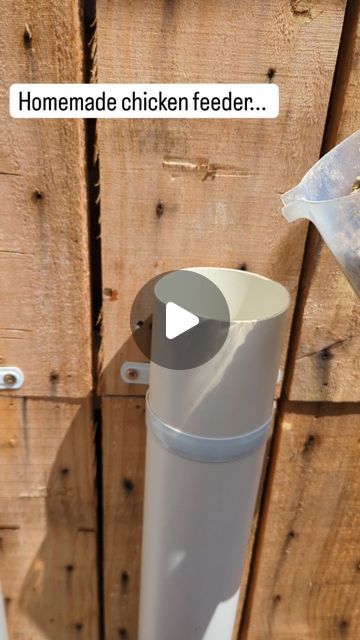 Grit Dispenser For Chickens, Chicken Feeders Diy No Waste, Wooden Chicken Feeder, Feeders For Chickens, Easy Diy Chicken Feeder, Chicken Feeder Ideas, Homemade Chicken Feeder, Diy Chicken Feeder, Pvc Chicken Feeder