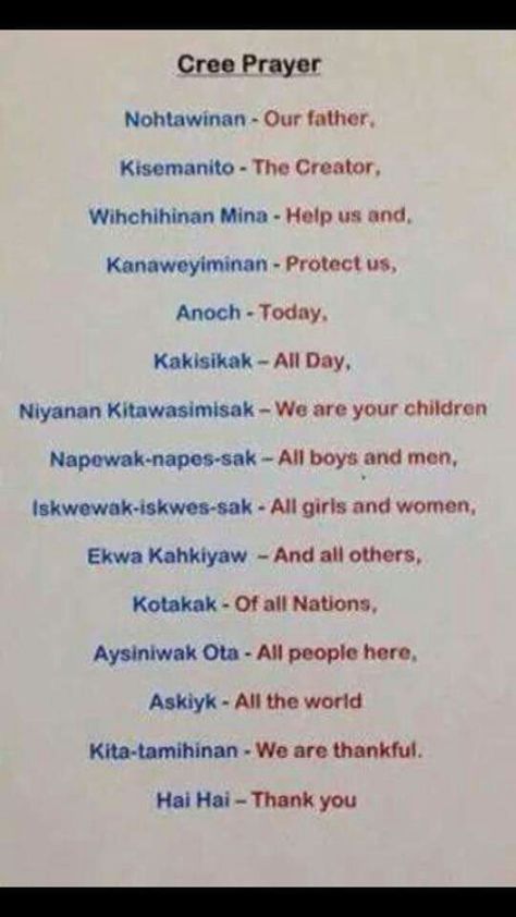 Cree Prayer Native American Poems, Cree Language, Native American Knowledge, Native American Language, Aboriginal Language, Native American Prayers, Native American Spirituality, Indigenous Education, Indigenous Knowledge