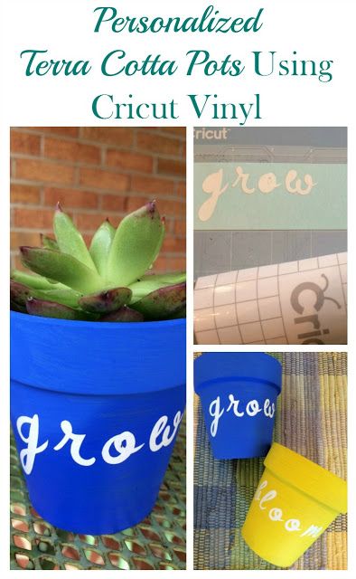 Create a bright succulent display by using painted terra cotta posts and Cricut vinyl words! Vinyl On Terra Cotta Pots, Cricut Spring, Craft Ideas For Gifts, Pots For Succulents, Diy Projects For Adults, Succulent Display, Home Decor Tips And Tricks, Decor Tips And Tricks, Painted Terra Cotta Pots