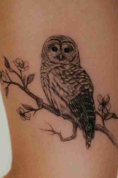 Barred Owl Tattoo, Owl Tattoo Ideas, Owl Tattoo Meaning, Owl Symbolism, Snow Tattoo, Cute Owl Tattoo, Around Arm Tattoo, Cool Shoulder Tattoos, Owl Species