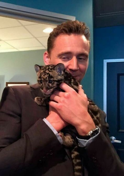 Tom Hiddleston and his baby jaguar. #TomHiddleston #cats #jaguar #cute #celebritycats Tom Hiddleston Imagines, Jack Hanna, Tom Hiddleston Funny, Crimson Peak, Baby Leopard, Thomas William Hiddleston, Marvel Actors, Loki Marvel, Man Thing Marvel