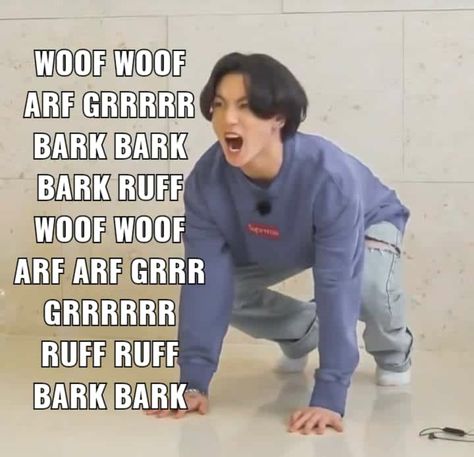 WOOF WOOF GRRRRR BARK BARK BARK WOOF WOOF ARF ARF GRRR GRRRRRR RUFF RUFF BARK BARK Person Barking Meme, Grr Bark Bark Woof Meme, Bark Reaction Pic, Barking Reaction Pic, Bark Bark Woof Woof Reaction Pic, Jungkook Barking, Barking Meme, Bark Meme, Bark Bark Woof Woof