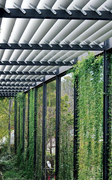 Parramatta Sydney, Cable Trellis, Tensile Architecture, Our Lady Of Mercy, Trellis System, Green Facade, Living Walls, Curtain Wall, Green Architecture