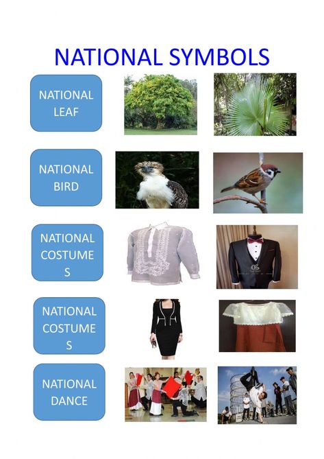 National Symbols Worksheet, Articles Worksheet, Cardinal Directions, Continents And Oceans, Sequence Of Events, Preschool Age, National Symbols, Community Helpers, School Subjects