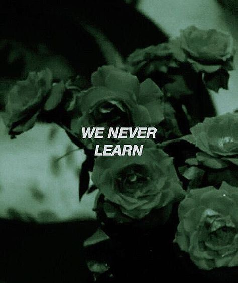 We Never Learn We've Been Here Before, Lorna Dane, Rantaro Amami, Gon Freecss, After Graduation, Blah Blah Blah, Dark Green Aesthetic, Slytherin Aesthetic, Quotes Aesthetic