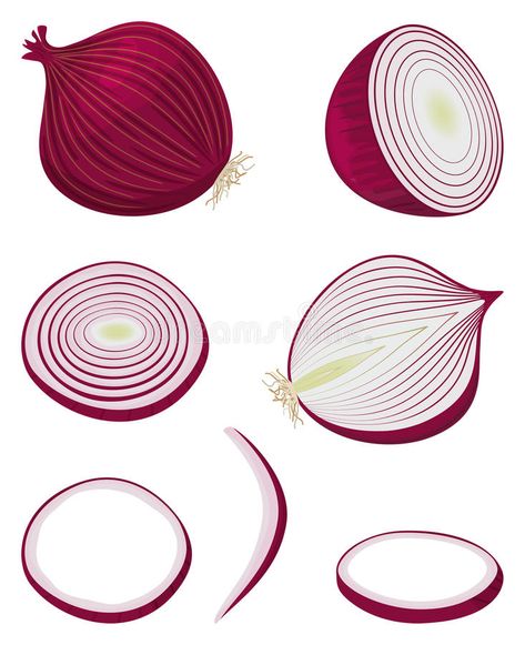 Onion Drawing, Recipe Book Printables, Pizza Drawing, Gouache Tutorial, Mysore Painting, Egg Vector, Page Decoration, Food Props, Food Illustrations