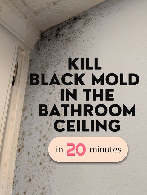 Black Mold In Shower, Mold On Bathroom Ceiling, Kill Black Mold, Clean Black Mold, Bathroom Mold Remover, Remove Black Mold, Home Maintenance Tips, Black Mold, Mold In Bathroom