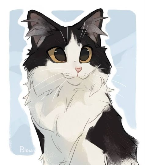 Pet Commissions, Cats Art Drawing, Gray Pillow, Warrior Cats Fan Art, Warrior Cat Drawings, Warrior Cat Oc, Cat Sketch, Black And White Cat, Warrior Cats Art